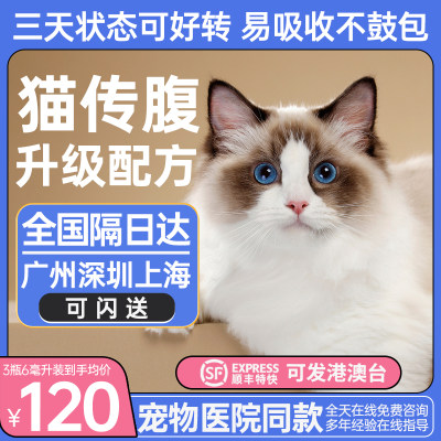 猫传腹传腹猫传腹FIPV