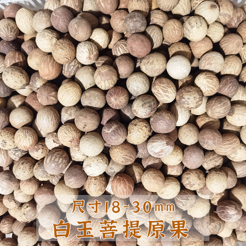 原料散珠天然风化果菩提子大尺寸