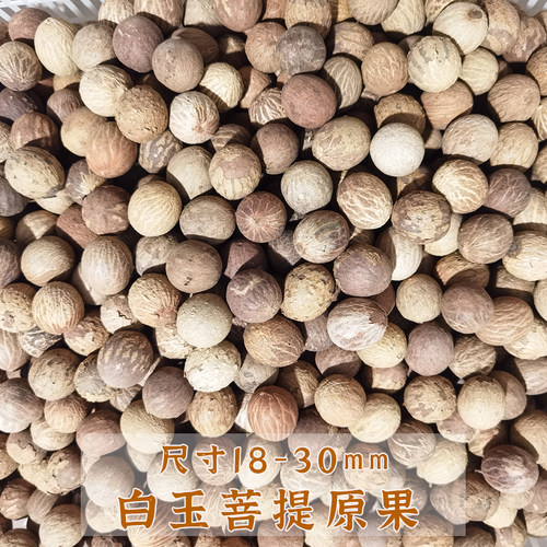 原料散珠天然风化果菩提子大尺寸