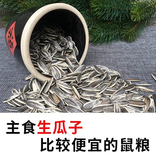 仓鼠松鼠粮食食物吃的生瓜子葵花籽生料魔王金花红腹雪地主粮主食