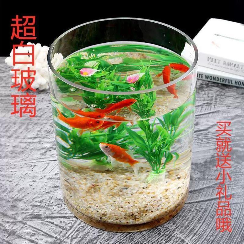 t加厚超白大小号玻璃圆柱鱼缸客厅家用落地花瓶圆形圆柱形水培直