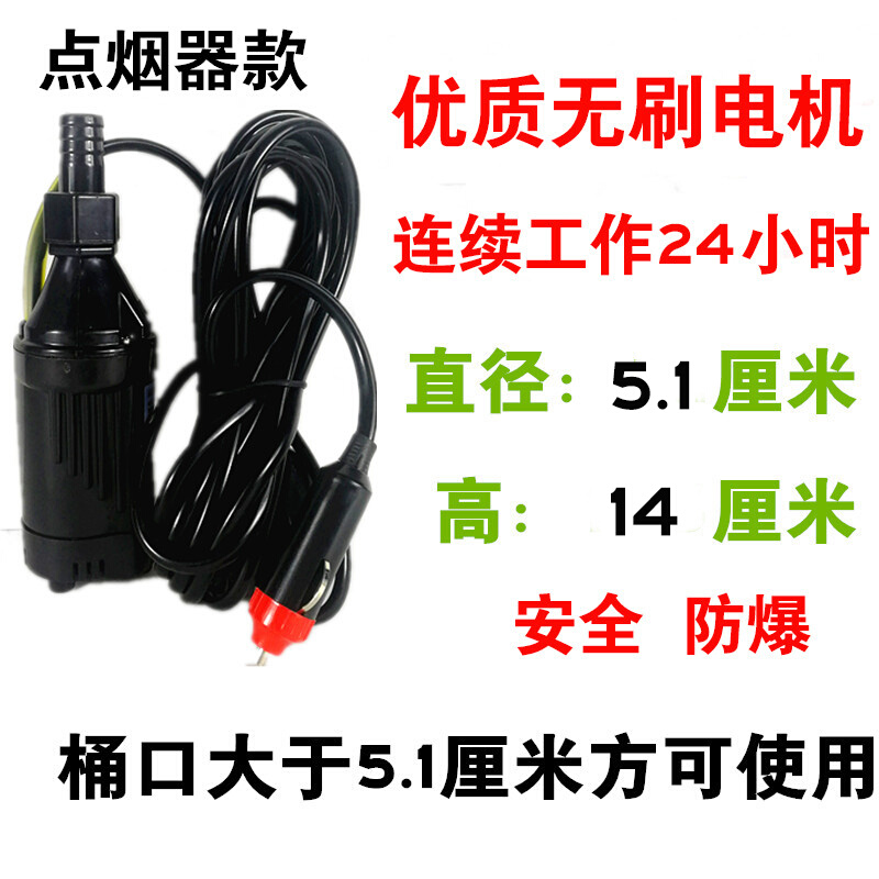 极速新品无刷马达抽k油泵12Vq24V220V电动小型潜水泵抽油机汽油泵
