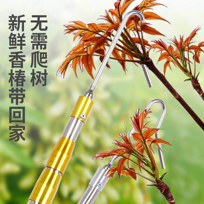 摘香椿槐花钩子加厚不锈钢伸缩采摘杆多功能采摘香椿槐花神器工具