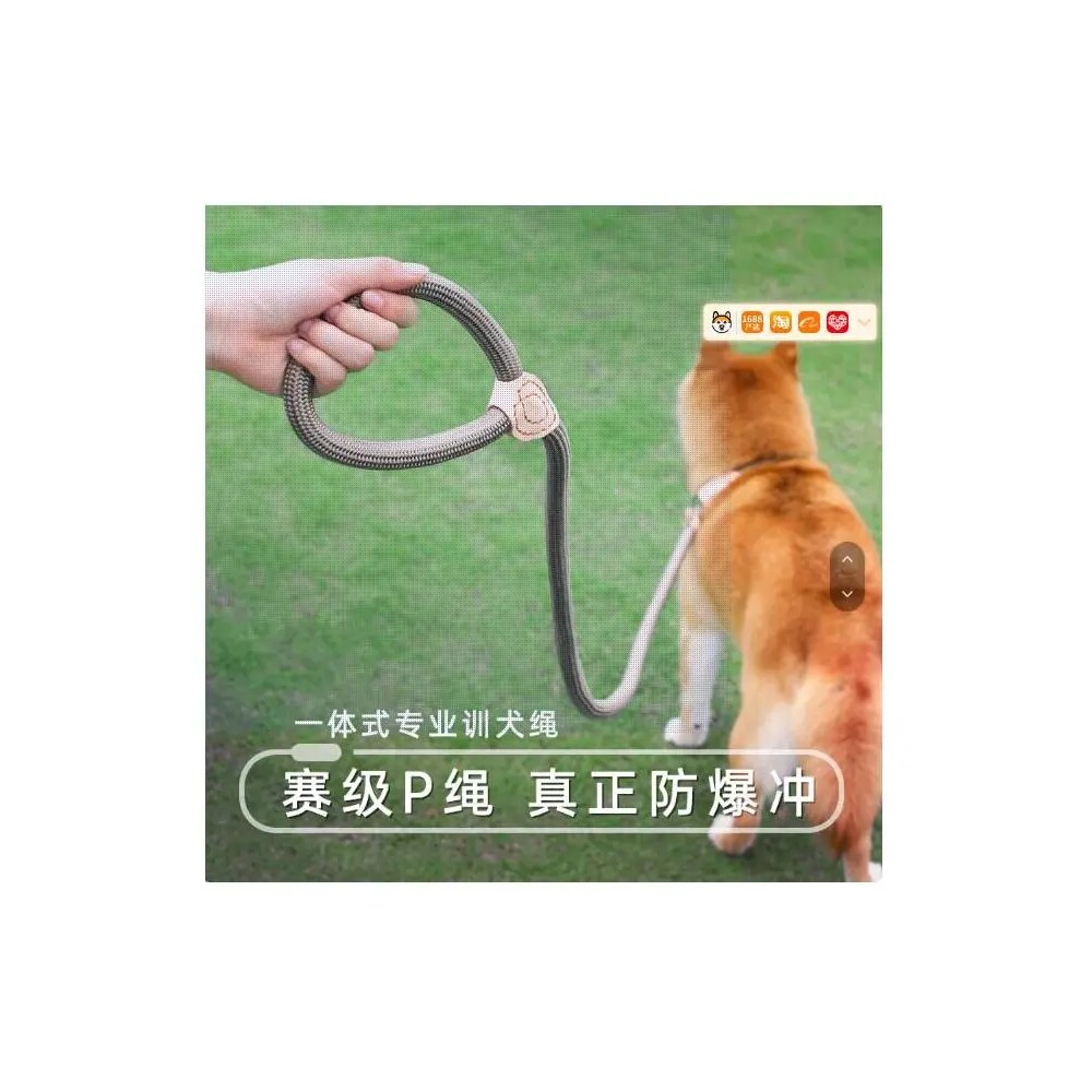 狗狗绳子防爆冲P链遛狗牵引绳防挣脱狗链子中大型犬防爆冲拴狗绳