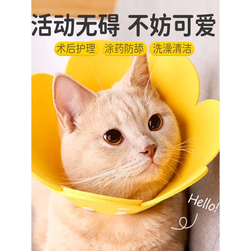 伊丽莎白圈猫咪绝育项圈伊利沙白圈防舔颈圈头套狗狗脖圈宠物用品