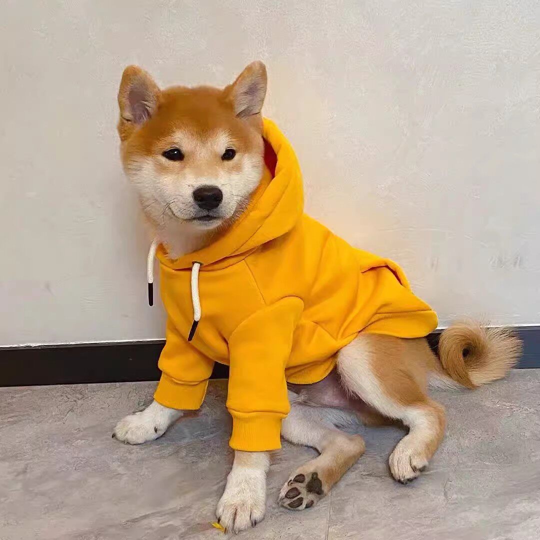 柴犬狗狗秋装加绒冬天衣服金毛柯基哈士奇边牧萨摩耶中型犬秋冬季