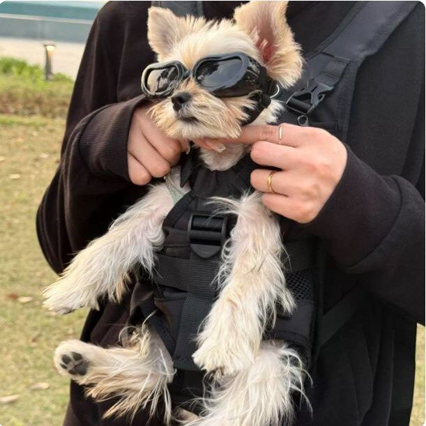 狗狗背带宠物外出骑行猫咪狗狗专用胸前背包约克夏小型犬骑行装备