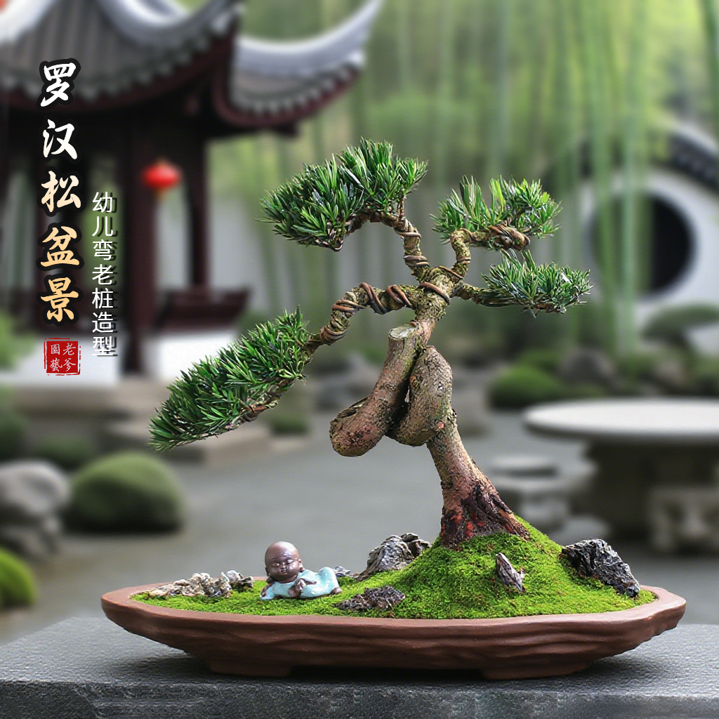 罗汉松真盆景造型植物室内客厅办公室桌面小叶绿植四季好养活盆栽