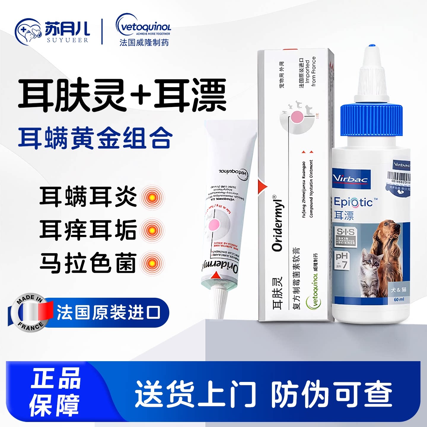 耳螨耳炎马拉色菌外耳道炎图片