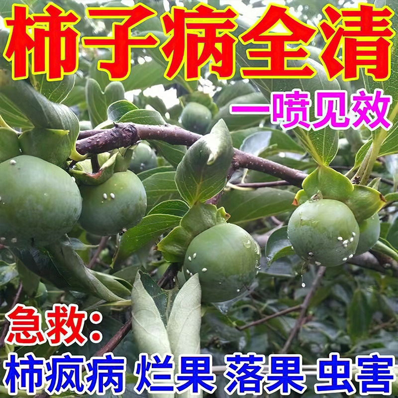 柿子树杀虫药蚧壳虫白虱子防治炭疽病白粉病落果黑斑专用药杀菌剂