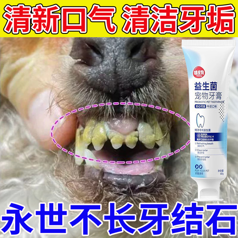 宠物牙刷牙膏猫咪狗狗刷牙套装益生菌除口臭可食用口腔清洁