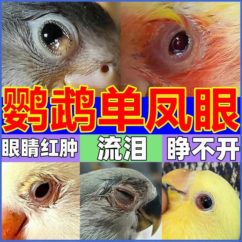 鹦鹉单眼伤风滴眼液鸟用一滴灵玄风滴眼液眼睛肿胀流泪鹦鹉眼药水