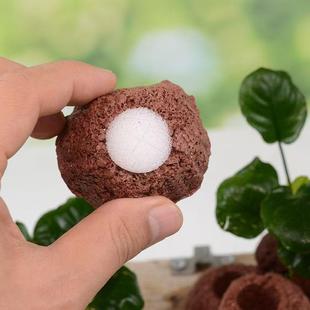 火山石环水草环打孔定植环固定底座沉底环鱼缸造景装饰定植器爆款