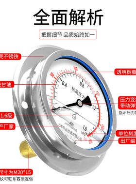 杭州东亚耐震压力表YN100ZT 轴向带边抗震油压液压水压气压真空表