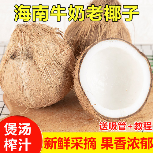 热销煲汤榨汁清补凉用带壳老椰子