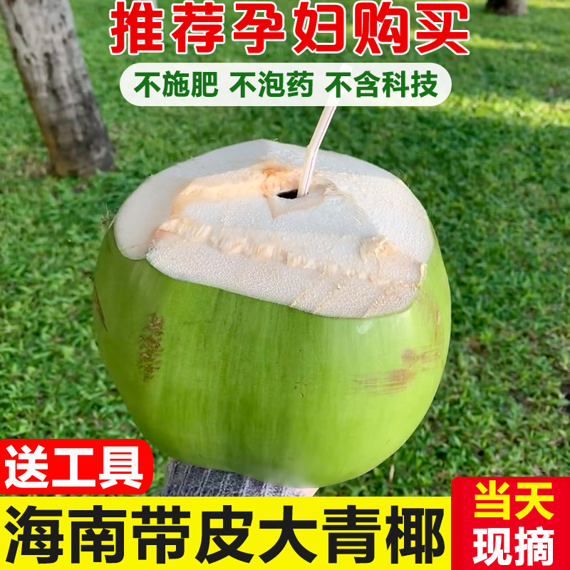 海南文昌带皮椰青新鲜现摘现发