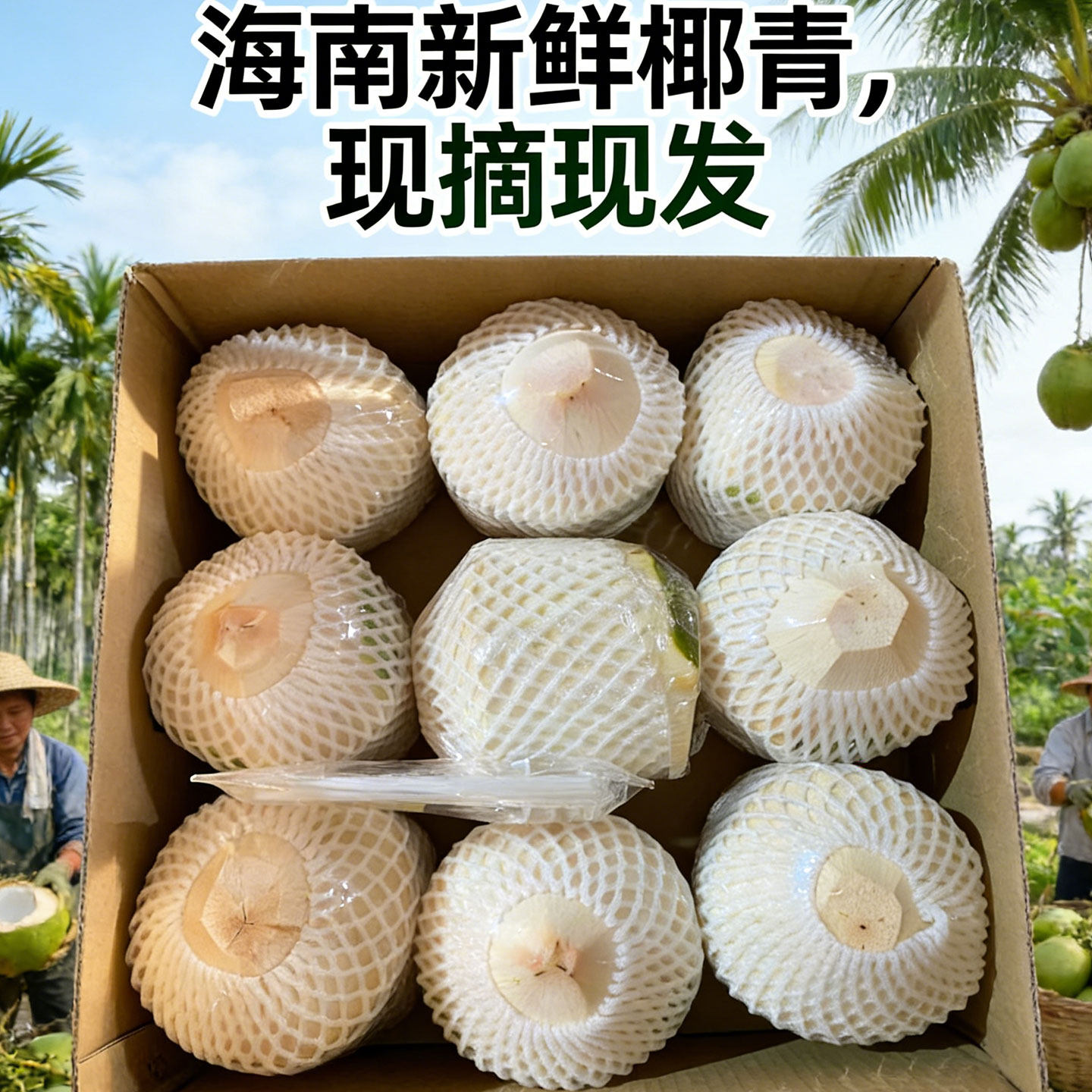 当季海南椰青新鲜椰子9个装孕妇水果香椰子水去皮一整箱 特产包邮,水产肉类/新鲜蔬果/熟食,椰青,淘宝优惠券,粉丝福利购,淘宝优惠卷