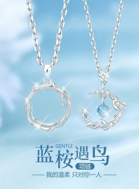 蓝桉与鸟情侣款项链高级感气质