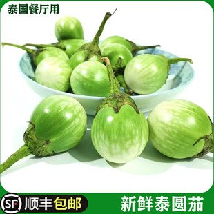 泰式品种新鲜圆茄 沙拉茄子大圆茄大茄芫茄 绿咖喱配料迷你青茄