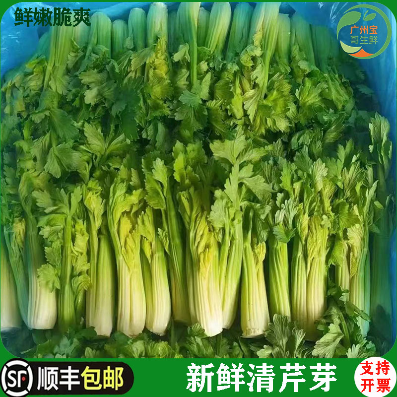 云南高原新鲜青芹芽西芹芯生吃