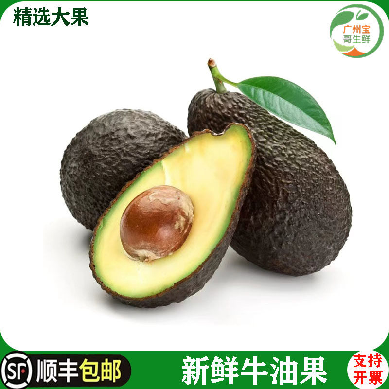 墨西哥进口牛油果水果1个装新鲜包邮宝宝辅食天然当季大果