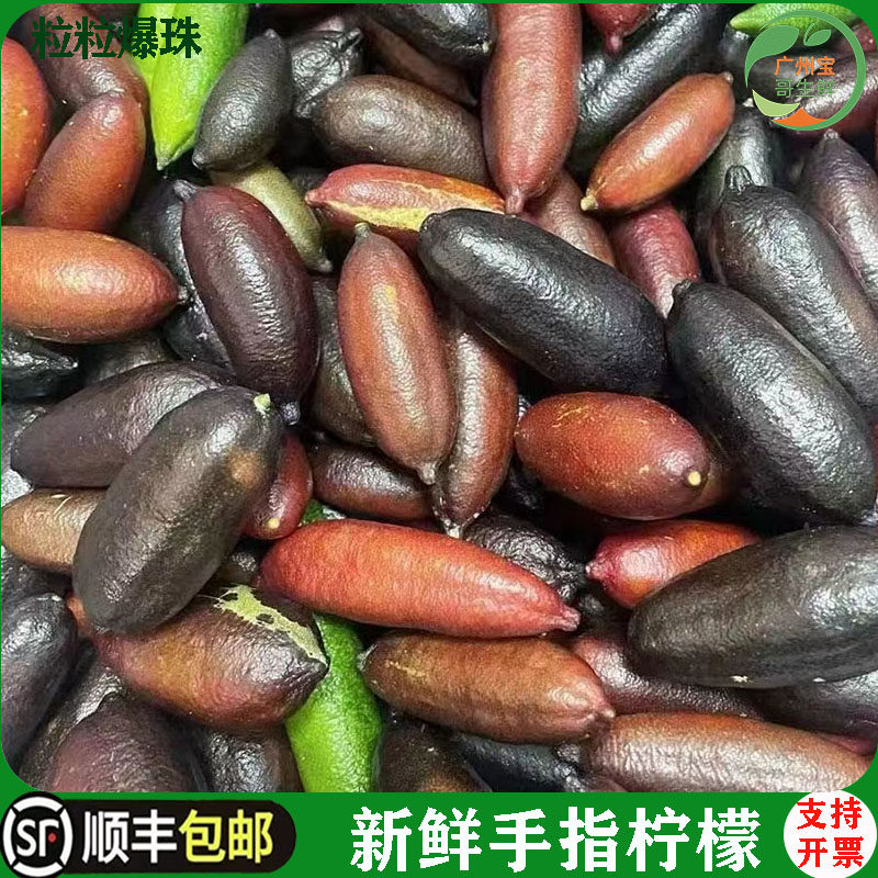 手指柠檬新鲜澳洲品种指橘鱼子酱拇指柠檬鲜果装饰西餐摆盘点缀