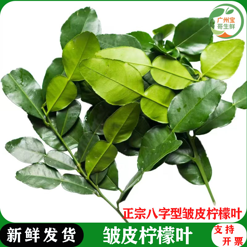 泰式粗皮柠檬叶冬阴功汤