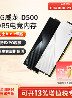 威刚XPG威龙D500/D300 DDR5 6000/6400电脑马甲内存条16G/32G/64G