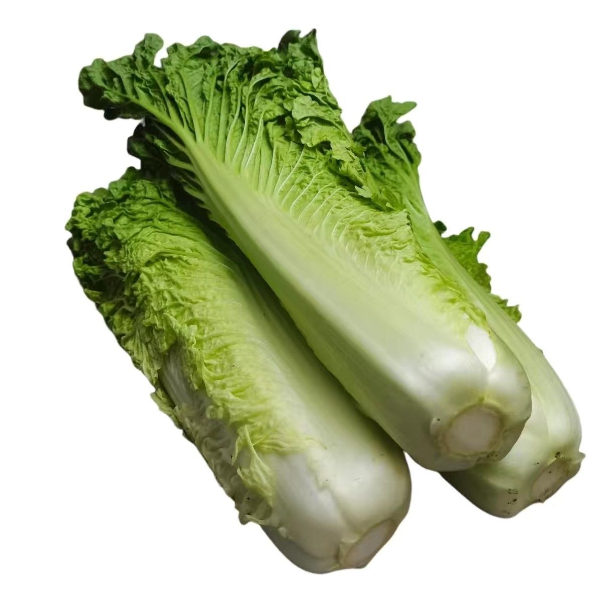 云南高山青麻叶白菜青口白菜