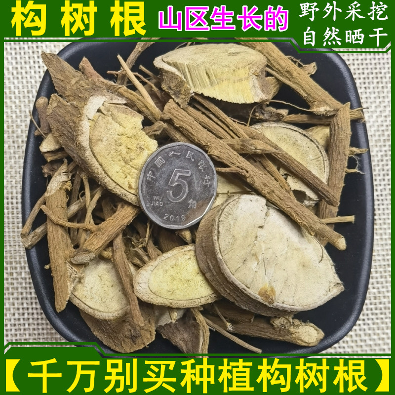 构树根 构桃树构乳树干货楮树根500g包邮 楮实子新鲜构树叶构树皮