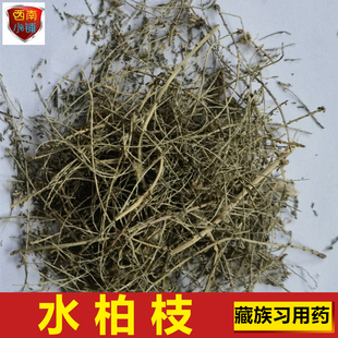 水柏枝 藏族习用药 温步(藏名) 干货砂柳250g包邮 青海高原中药材