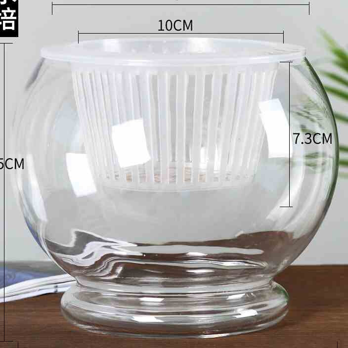现货速发简约水培绿萝植物玻璃花瓶透e明容器水养装饰器皿客厅插