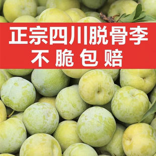 四川脱骨李子当季新鲜甜脆孕妇水果10斤整箱包邮非三华红李蜂糖李