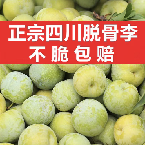 四川脱骨李子当季新鲜甜脆孕妇水果10斤整箱包邮非三华红李蜂糖李
