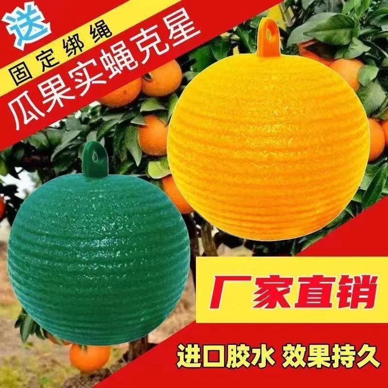 果实果园蝇球诱捕粘虫柑