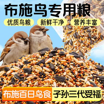布施鸟粮野外投喂小型鸟类饲料麻雀斑鸠带壳黄谷子红谷子五色黍子