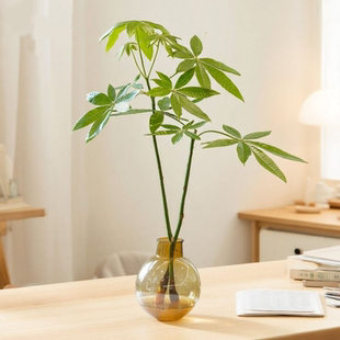 龙猫伞高低两支搭配配灯泡花瓶室内桌面小盆栽水培绿植