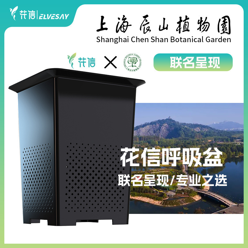 花信呼吸盆蔓绿绒花烛通用透气