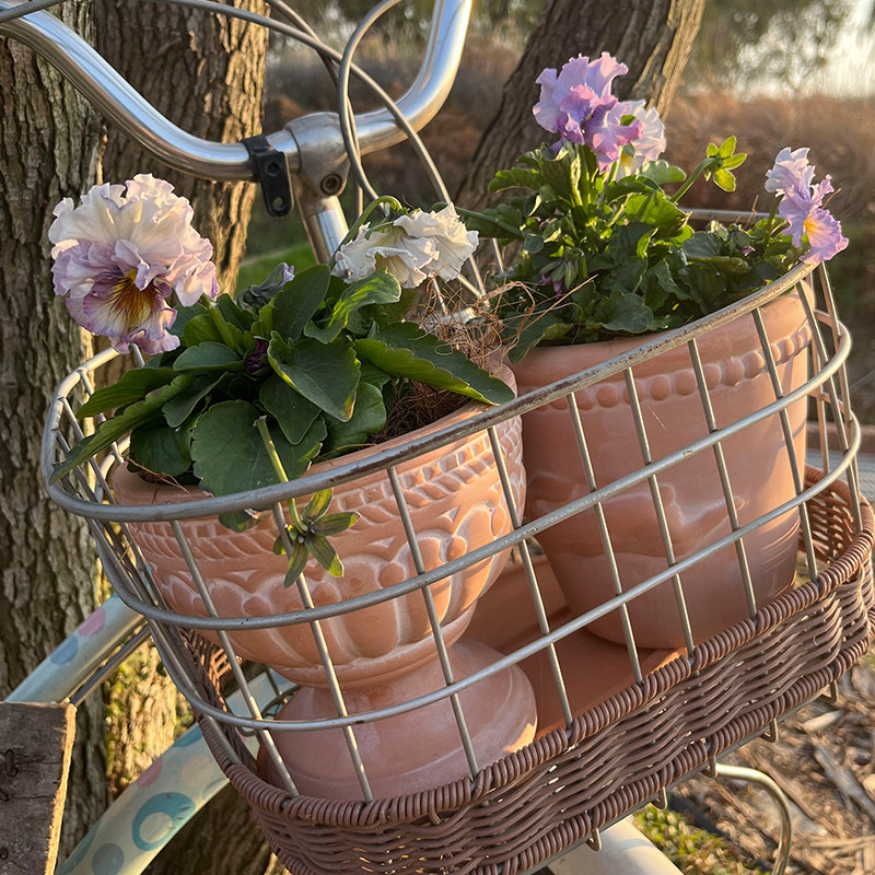 15�ھ���Ҷ������ ���� �������� �������ɺ��մ��ջ��軨԰�ӻ� 95.3Ԫ��5��(��19.06Ԫ/��)