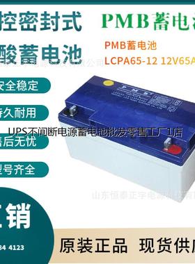 PMB蓄电池LCPA65-12 12V65AH消防照明 UPS电源配套 EPS直流屏电池