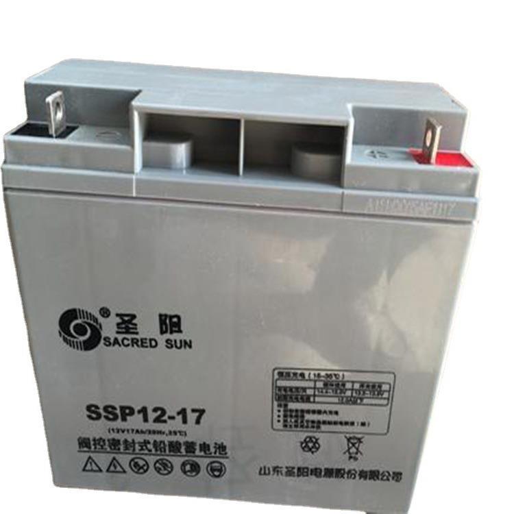 12V17ah蓄电池SSP12-17 直流屏UPS/EPS机柜免维护蓄电池