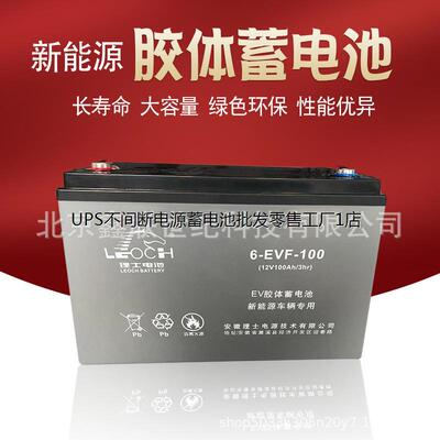 LEOCH理士蓄电池6-EVF5