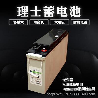 理士狭长型蓄电池FT-100