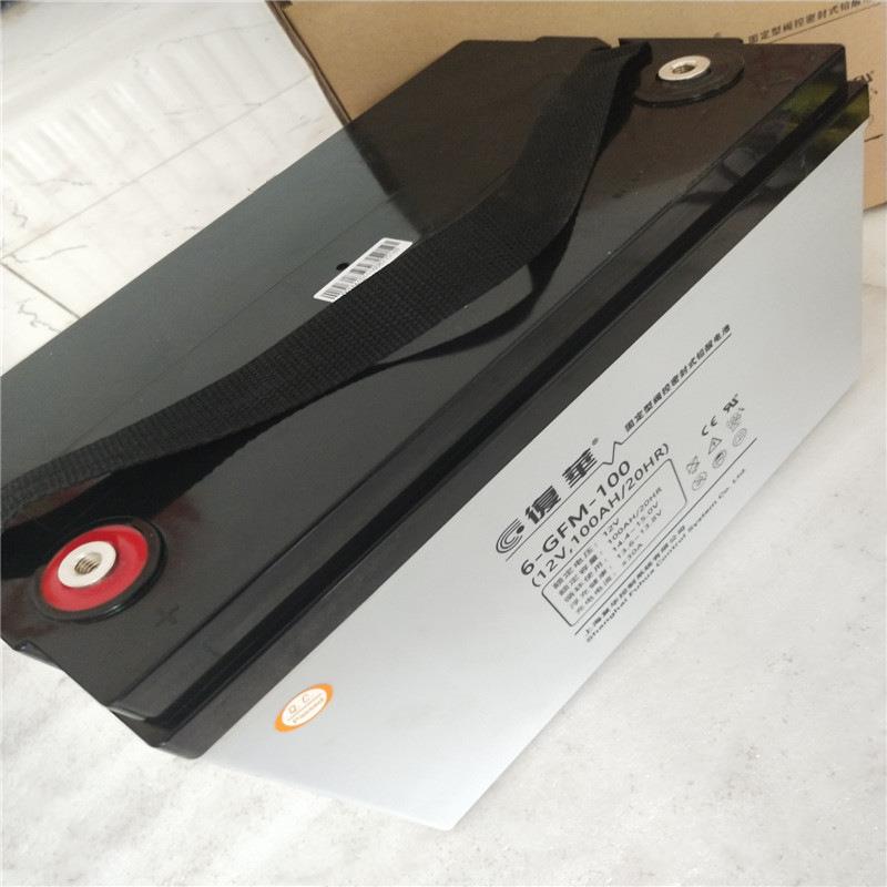 POWERSON蓄电池12v100ah电池6-GFM-100机房UPS备用电源
