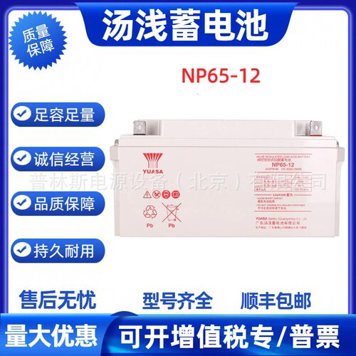YUASA汤浅12V65AH蓄电池