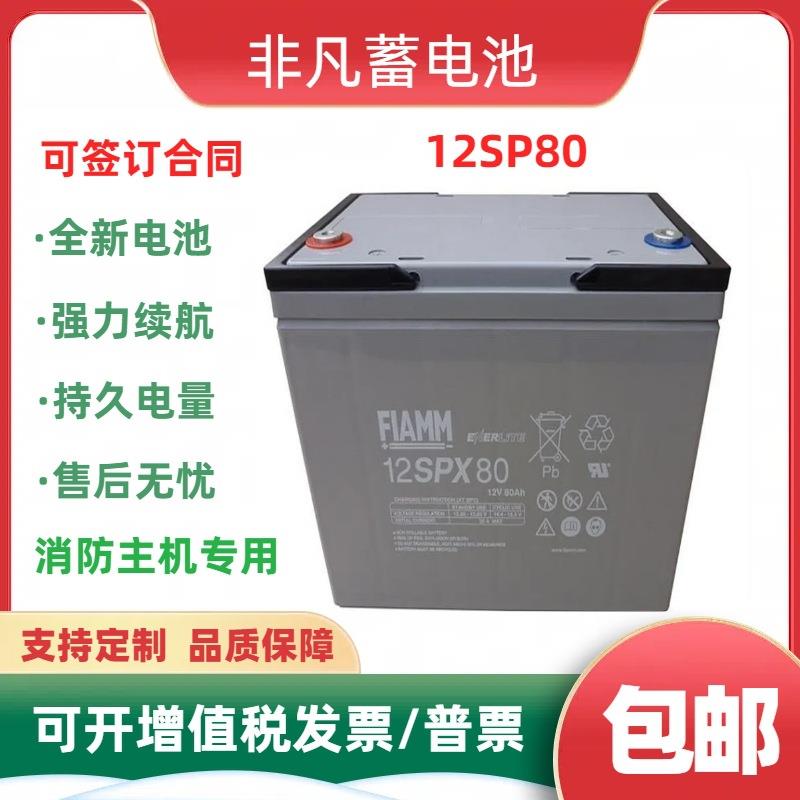 FIAMMUPS蓄电池12SP80 12V80Ah机房直流屏UPS储能免维护电瓶