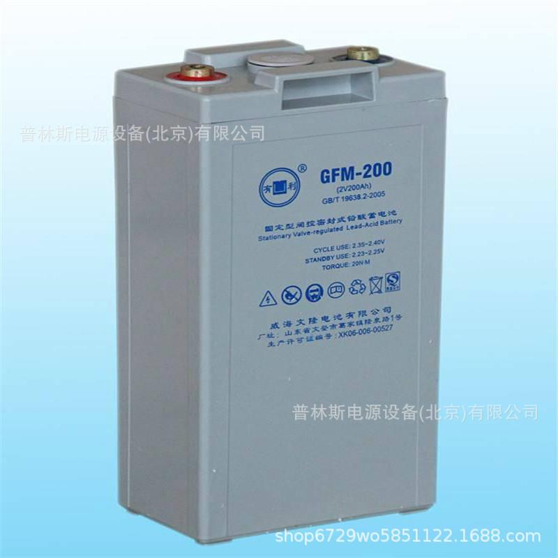 威海文隆 YOULI蓄电池6-GFM-200铅酸免维护12V200ah 质保三年