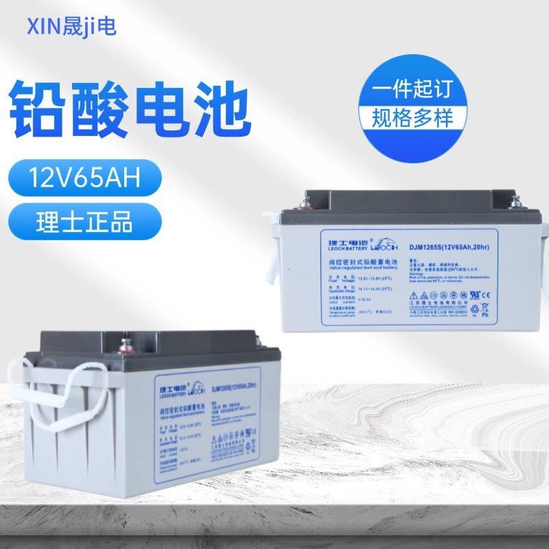 UP S/EPS不间断电源 LEOCH理士蓄电池DJM1265S 光伏发电 12v6H