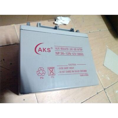 奥克松蓄电池12V24AHAKS