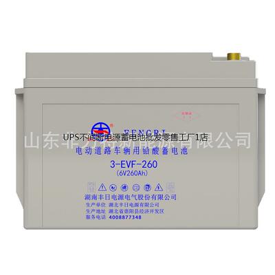 丰日蓄电池3-EVF-260AH